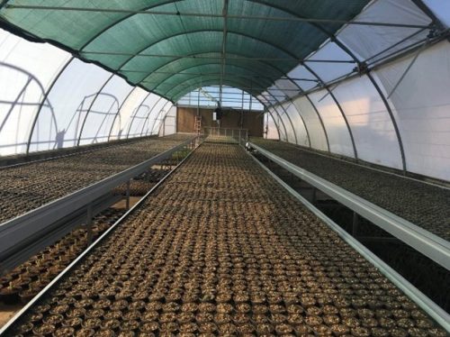 میز های ثابت در مجتمع کاکتوسیوم