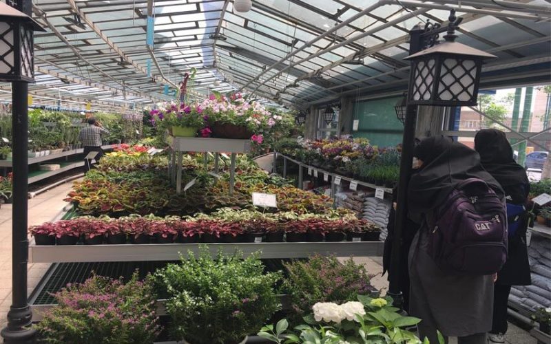 مدل فروشگاهی سلزه گلخانه